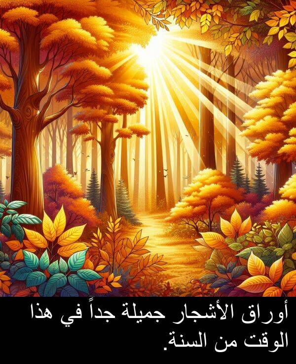 هذا: أوراق الأشجار جميلة جداً في هذا الوقت من السنة.