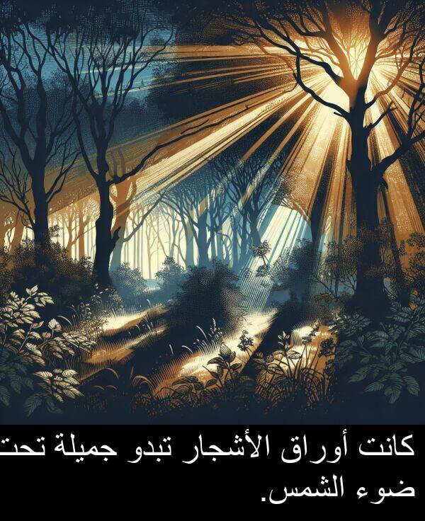 ضوء: كانت أوراق الأشجار تبدو جميلة تحت ضوء الشمس.