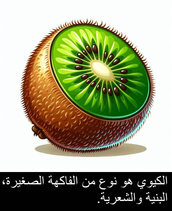 الكيوي: الكيوي هو نوع من الفاكهة الصغيرة، البنية والشعرية.