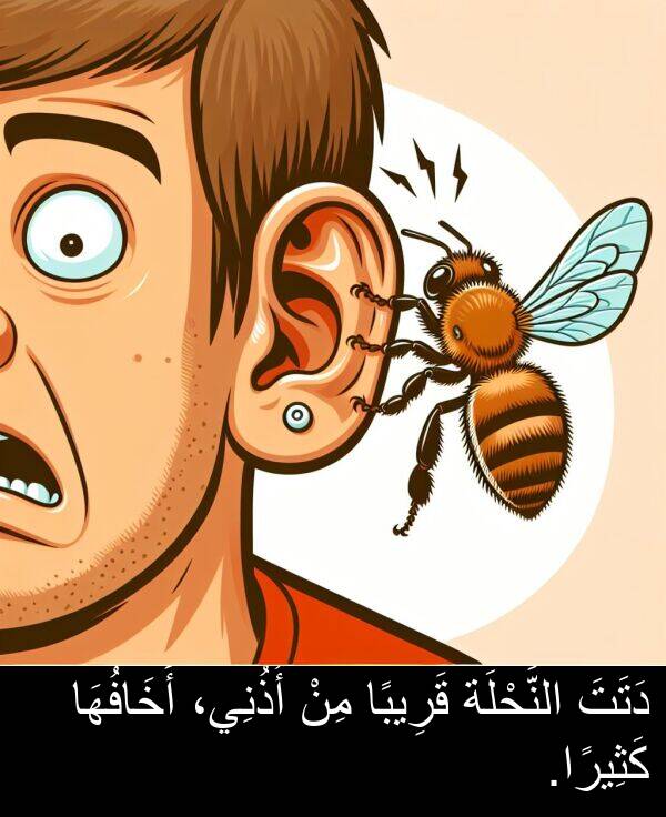 دَتَتَ: دَتَتَ النَّحْلَة قَرِيبًا مِنْ أُذُنِي، أَخَافُهَا كَثِيرًا.