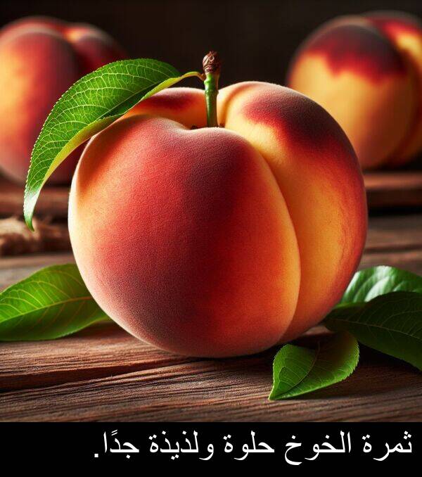 جدًا: ثمرة الخوخ حلوة ولذيذة جدًا.