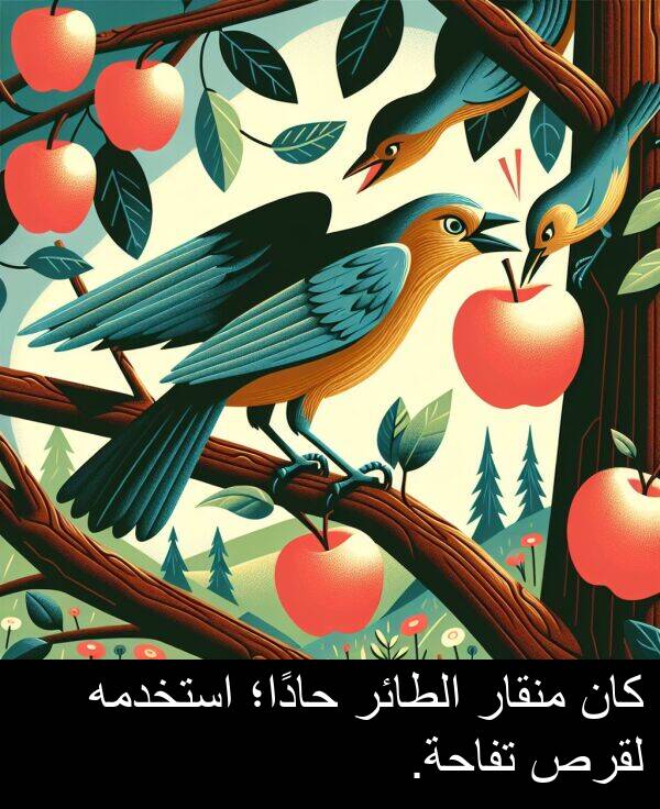 استخدمه: كان منقار الطائر حادًا؛ استخدمه لقرص تفاحة.