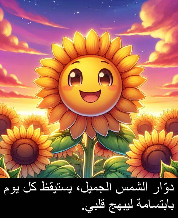 دوّار: دوّار الشمس الجميل، يستيقظ كل يوم بابتسامة ليبهج قلبي.