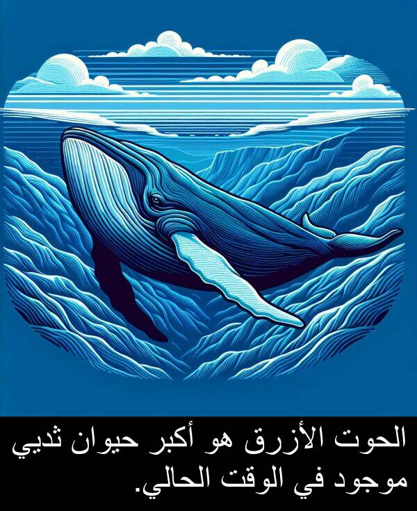 أكبر: الحوت الأزرق هو أكبر حيوان ثديي موجود في الوقت الحالي.