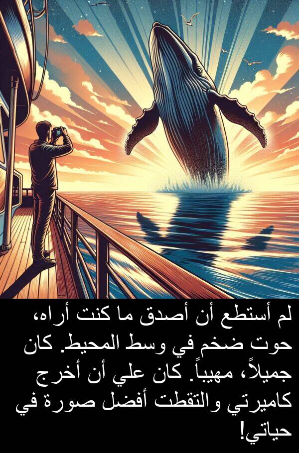 صورة: لم أستطع أن أصدق ما كنت أراه، حوت ضخم في وسط المحيط. كان جميلاً، مهيباً. كان علي أن أخرج كاميرتي والتقطت أفضل صورة في حياتي!
