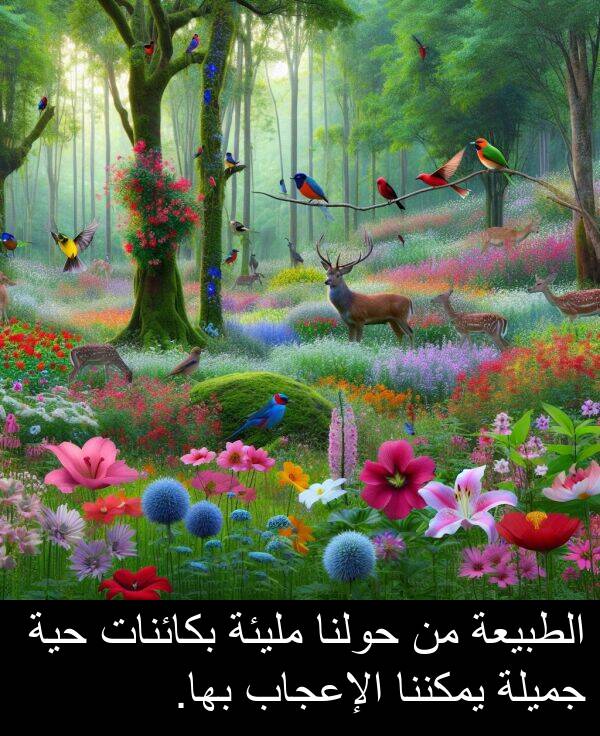 جميلة: الطبيعة من حولنا مليئة بكائنات حية جميلة يمكننا الإعجاب بها.