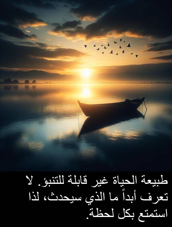 أبداً: طبيعة الحياة غير قابلة للتنبؤ. لا تعرف أبداً ما الذي سيحدث، لذا استمتع بكل لحظة.