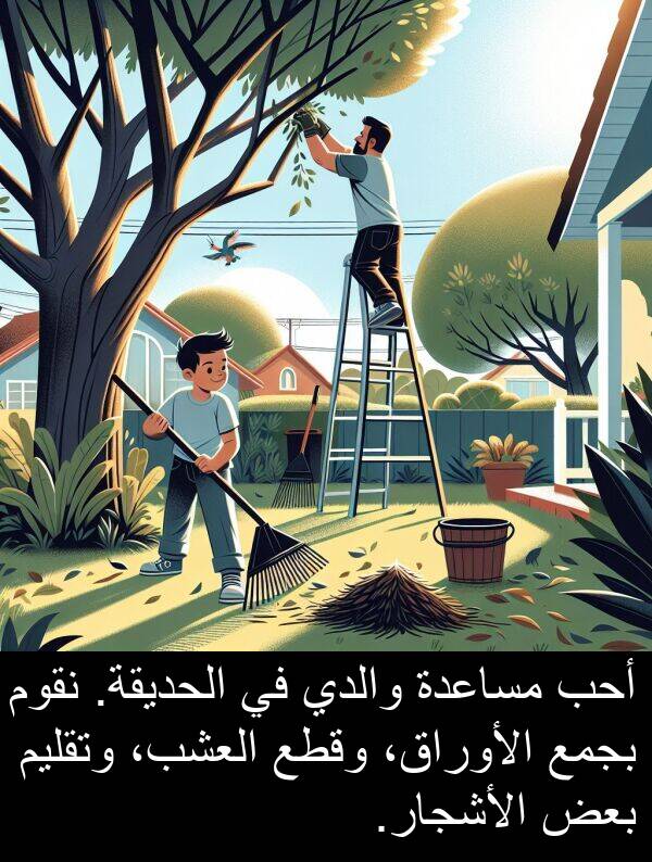 الأوراق،: أحب مساعدة والدي في الحديقة. نقوم بجمع الأوراق، وقطع العشب، وتقليم بعض الأشجار.