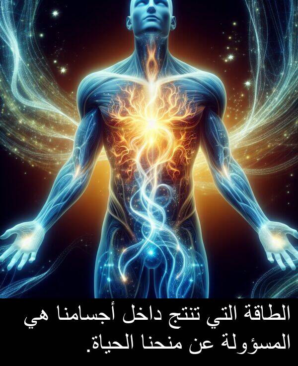 داخل: الطاقة التي تنتج داخل أجسامنا هي المسؤولة عن منحنا الحياة.