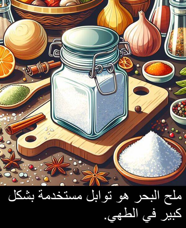 كبير: ملح البحر هو توابل مستخدمة بشكل كبير في الطهي.