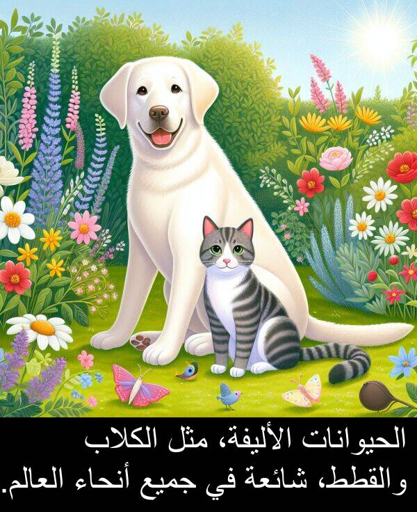 شائعة: الحيوانات الأليفة، مثل الكلاب والقطط، شائعة في جميع أنحاء العالم.
