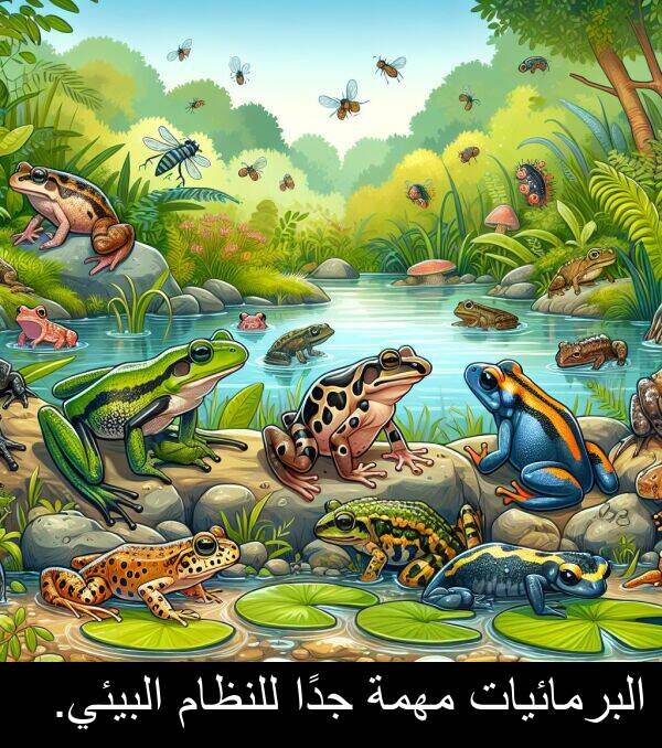 جدًا: البرمائيات مهمة جدًا للنظام البيئي.