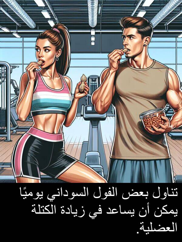 زيادة: تناول بعض الفول السوداني يوميًا يمكن أن يساعد في زيادة الكتلة العضلية.