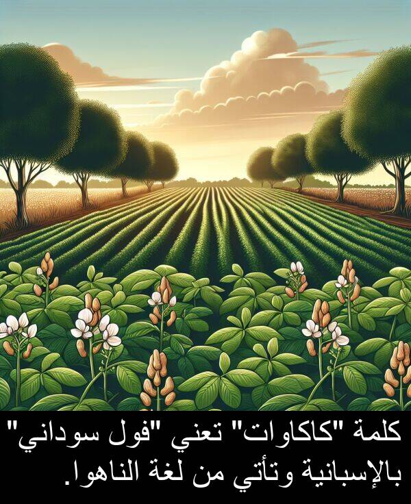 كلمة: كلمة "كاكاوات" تعني "فول سوداني" بالإسبانية وتأتي من لغة الناهوا.