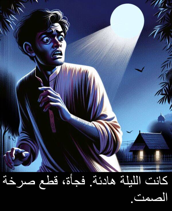 صرخة: كانت الليلة هادئة. فجأة، قطع صرخة الصمت.
