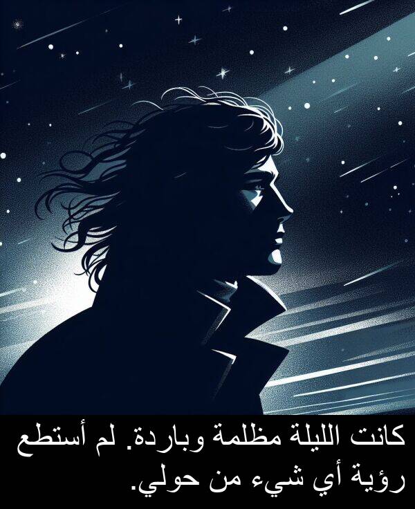 شيء: كانت الليلة مظلمة وباردة. لم أستطع رؤية أي شيء من حولي.