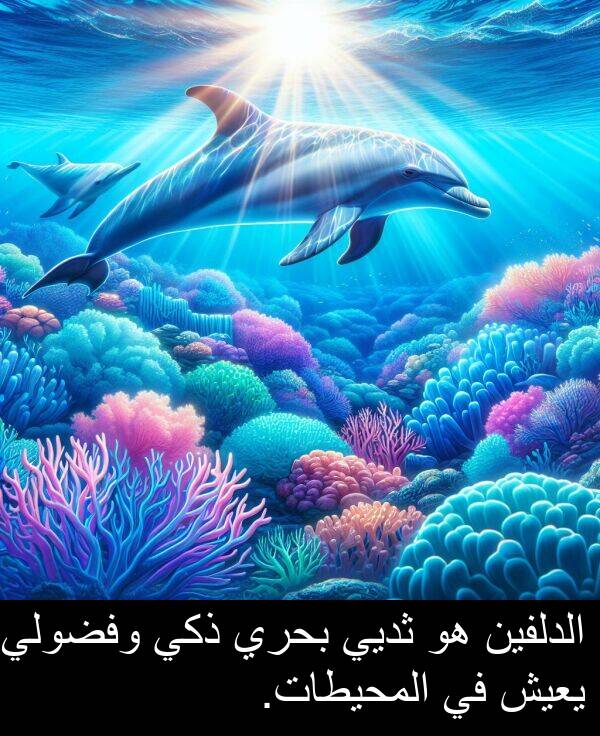 ذكي: الدلفين هو ثديي بحري ذكي وفضولي يعيش في المحيطات.