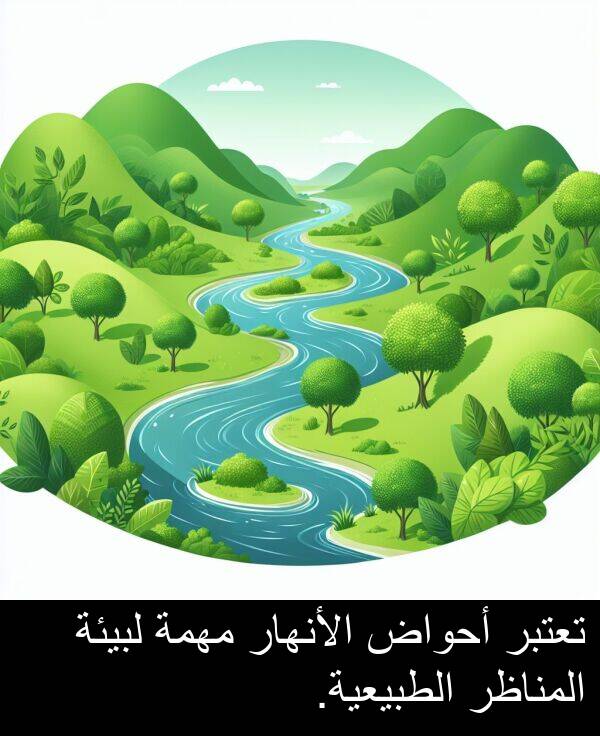 لبيئة: تعتبر أحواض الأنهار مهمة لبيئة المناظر الطبيعية.