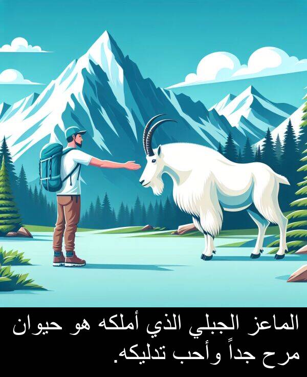 وأحب: الماعز الجبلي الذي أملكه هو حيوان مرح جداً وأحب تدليكه.
