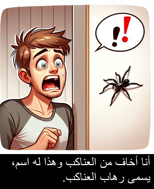 رهاب: أنا أخاف من العناكب وهذا له اسم، يسمى رهاب العناكب.