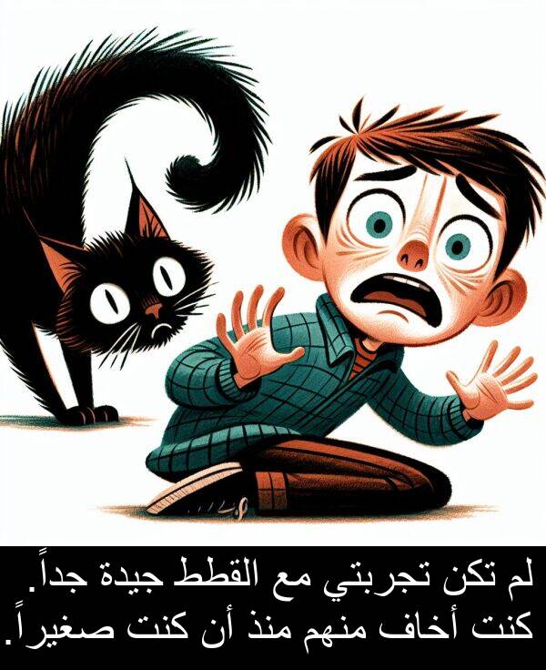 صغيراً: لم تكن تجربتي مع القطط جيدة جداً. كنت أخاف منهم منذ أن كنت صغيراً.