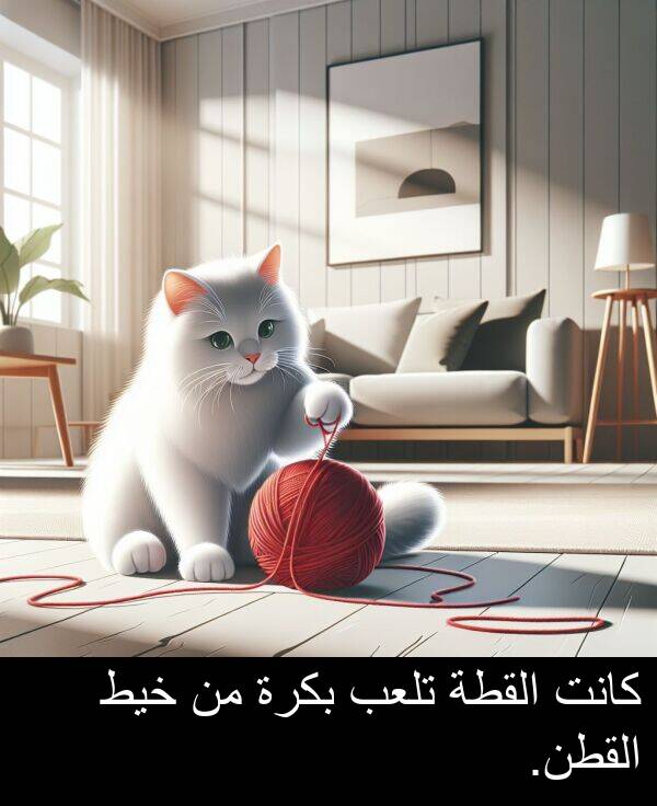 خيط: كانت القطة تلعب بكرة من خيط القطن.