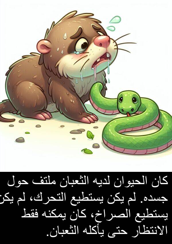 يأكله: كان الحيوان لديه الثعبان ملتف حول جسده. لم يكن يستطيع التحرك، لم يكن يستطيع الصراخ، كان يمكنه فقط الانتظار حتى يأكله الثعبان.