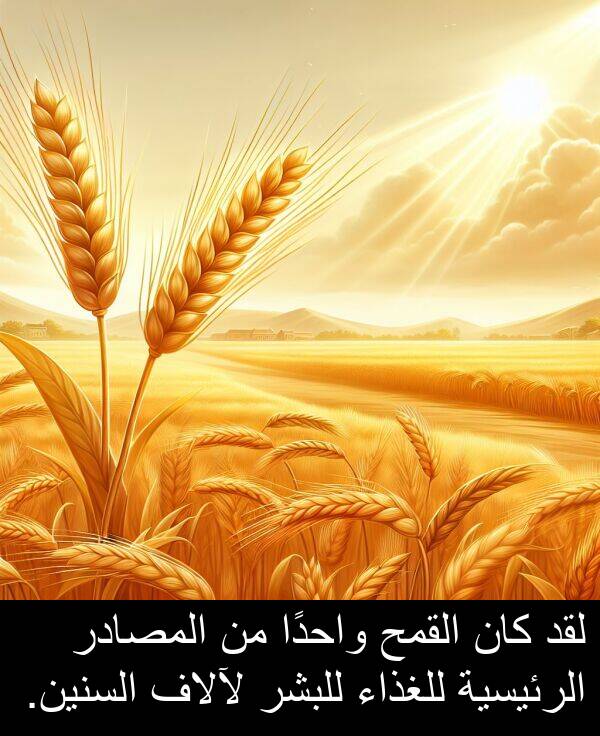 واحدًا: لقد كان القمح واحدًا من المصادر الرئيسية للغذاء للبشر لآلاف السنين.