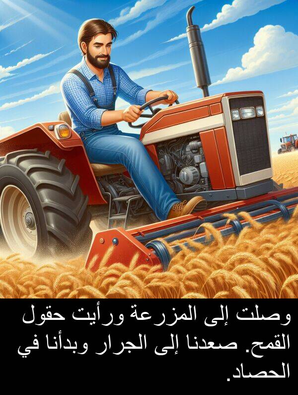صعدنا: وصلت إلى المزرعة ورأيت حقول القمح. صعدنا إلى الجرار وبدأنا في الحصاد.