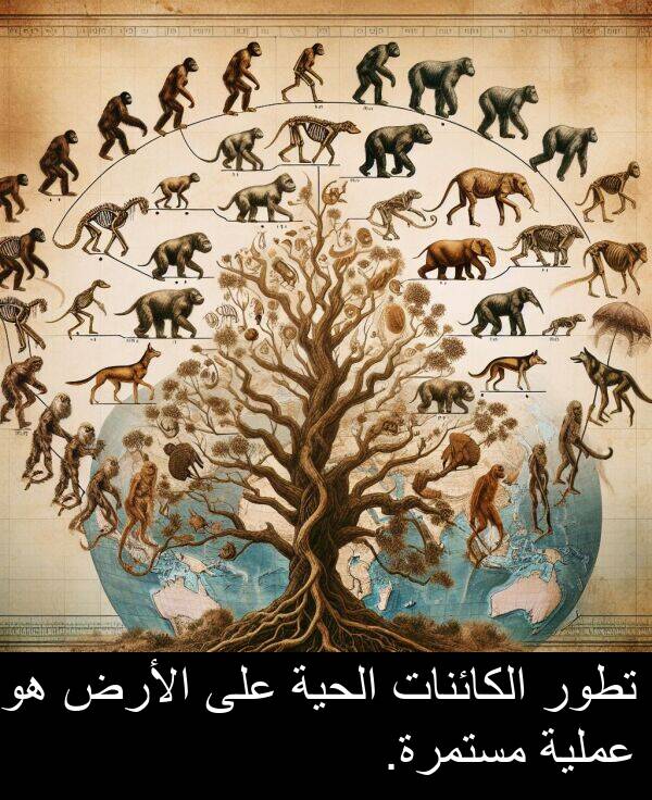 الأرض: تطور الكائنات الحية على الأرض هو عملية مستمرة.