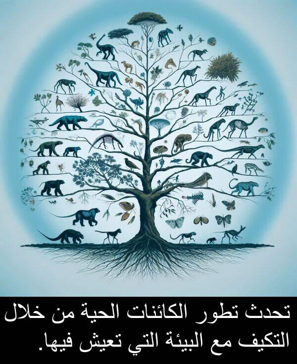 تحدث: تحدث تطور الكائنات الحية من خلال التكيف مع البيئة التي تعيش فيها.