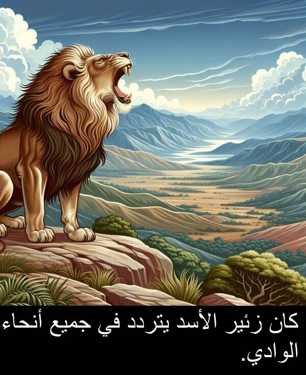 يتردد: كان زئير الأسد يتردد في جميع أنحاء الوادي.