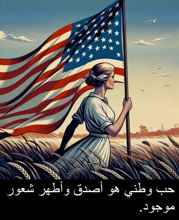 شعور: حب وطني هو أصدق وأطهر شعور موجود.