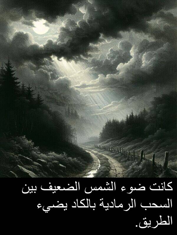 ضوء: كانت ضوء الشمس الضعيف بين السحب الرمادية بالكاد يضيء الطريق.