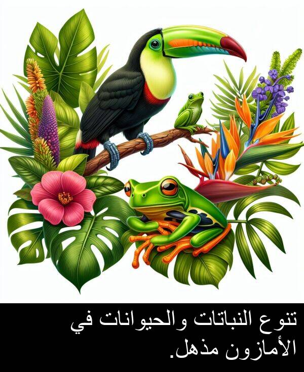 النباتات: تنوع النباتات والحيوانات في الأمازون مذهل.