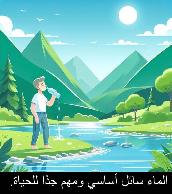 أساسي: الماء سائل أساسي ومهم جدًا للحياة.