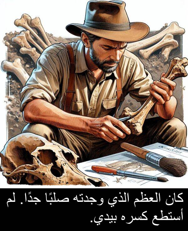 صلبًا: كان العظم الذي وجدته صلبًا جدًا. لم أستطع كسره بيدي.