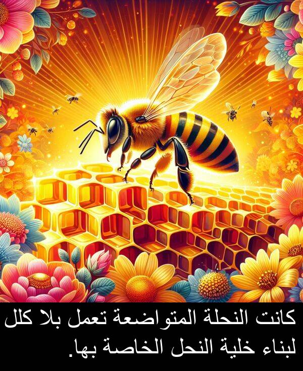 خلية: كانت النحلة المتواضعة تعمل بلا كلل لبناء خلية النحل الخاصة بها.
