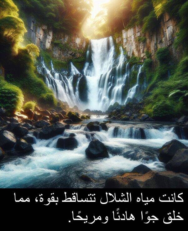 هادئًا: كانت مياه الشلال تتساقط بقوة، مما خلق جوًا هادئًا ومريحًا.