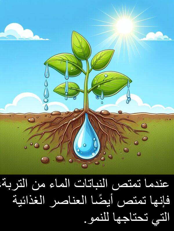 أيضًا: عندما تمتص النباتات الماء من التربة، فإنها تمتص أيضًا العناصر الغذائية التي تحتاجها للنمو.