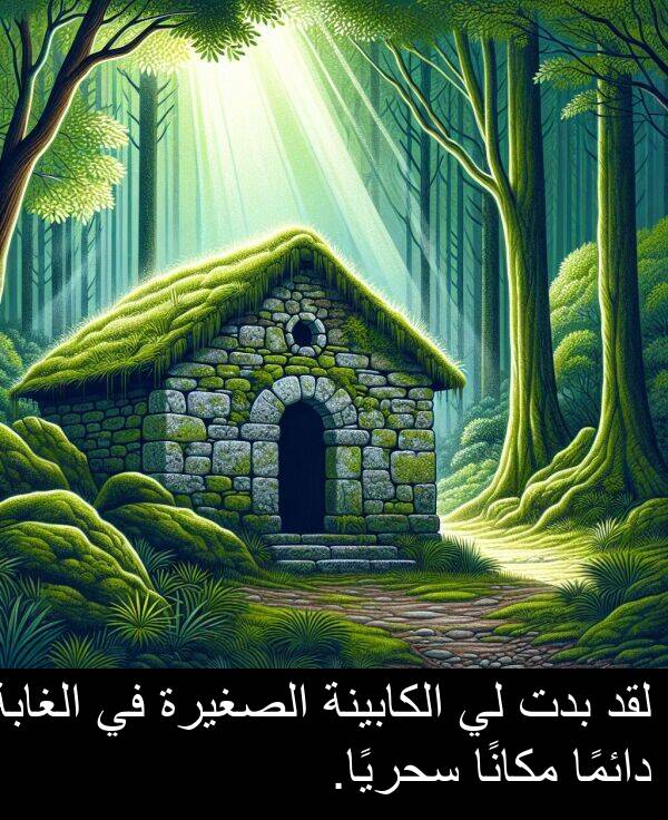 الكابينة: لقد بدت لي الكابينة الصغيرة في الغابة دائمًا مكانًا سحريًا.