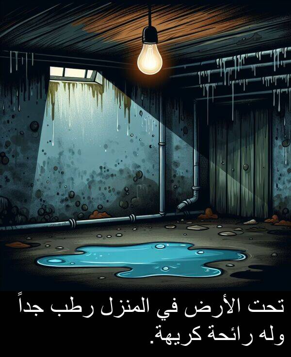 رائحة: تحت الأرض في المنزل رطب جداً وله رائحة كريهة.