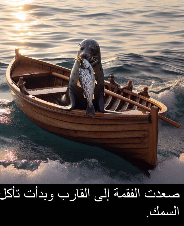 تأكل: صعدت الفقمة إلى القارب وبدأت تأكل السمك.