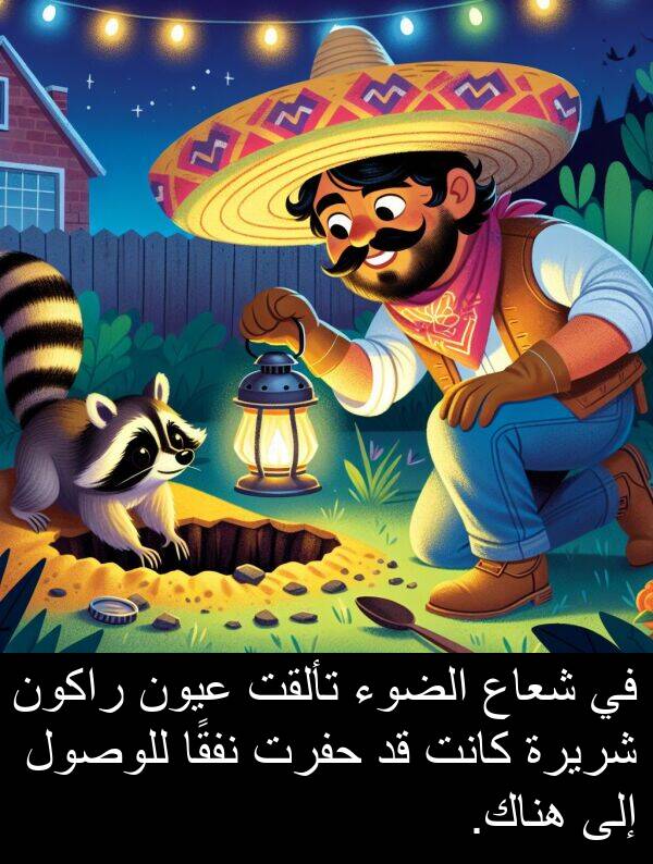 شريرة: في شعاع الضوء تألقت عيون راكون شريرة كانت قد حفرت نفقًا للوصول إلى هناك.