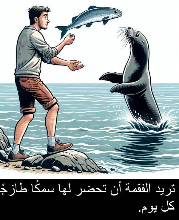 طازجًا: تريد الفقمة أن تحضر لها سمكًا طازجًا كل يوم.