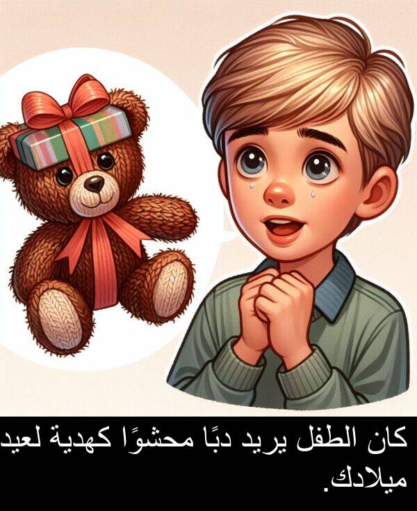 دبًا: كان الطفل يريد دبًا محشوًا كهدية لعيد ميلادك.