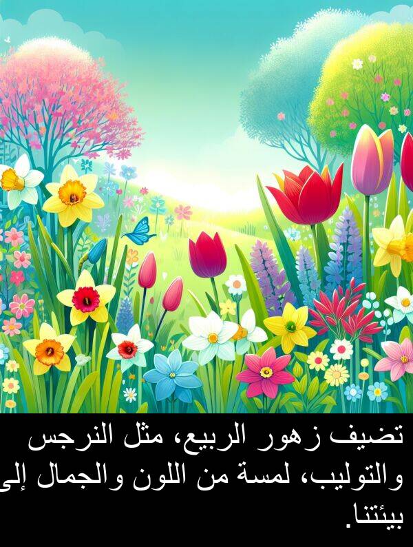 زهور: تضيف زهور الربيع، مثل النرجس والتوليب، لمسة من اللون والجمال إلى بيئتنا.