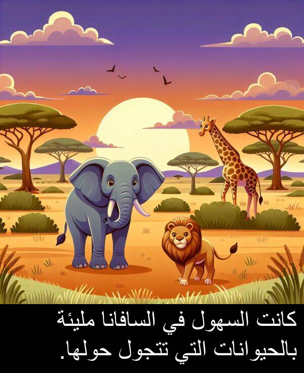 بالحيوانات: كانت السهول في السافانا مليئة بالحيوانات التي تتجول حولها.