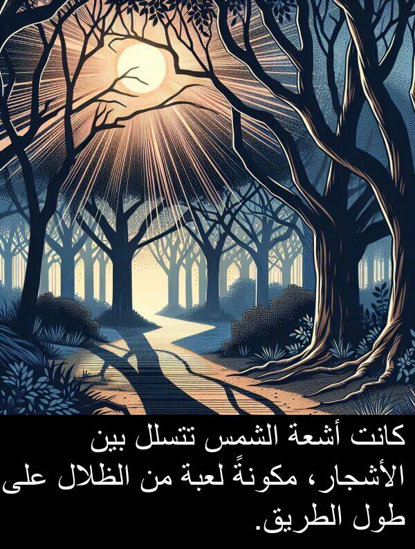طول: كانت أشعة الشمس تتسلل بين الأشجار، مكونةً لعبة من الظلال على طول الطريق.