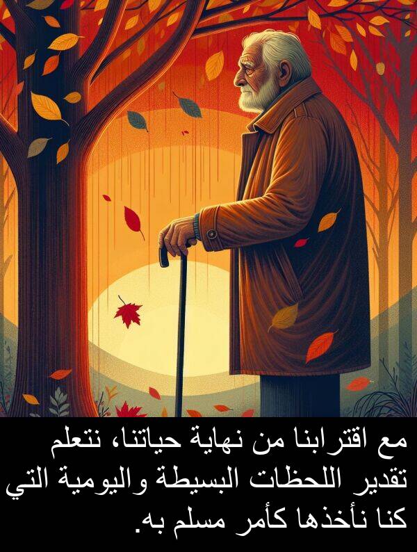 كنا: مع اقترابنا من نهاية حياتنا، نتعلم تقدير اللحظات البسيطة واليومية التي كنا نأخذها كأمر مسلم به.
